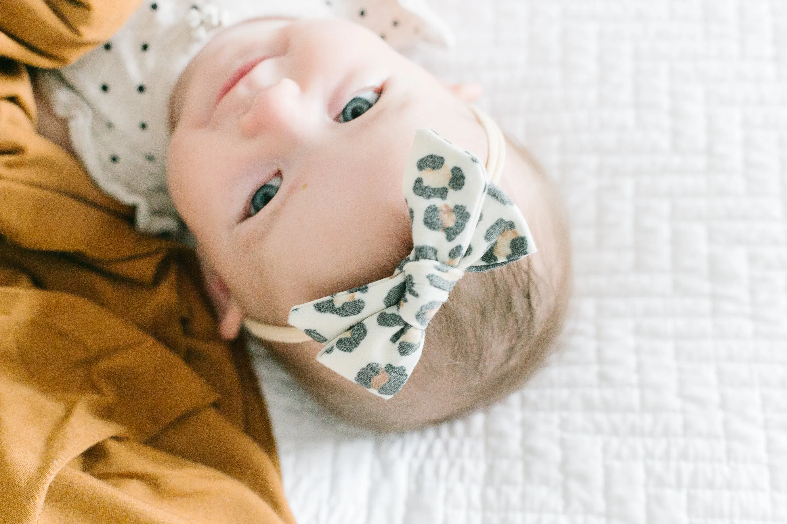 Classic Nylon Bow - Zara