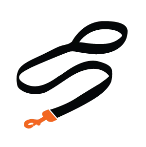 Dog Slip Lead