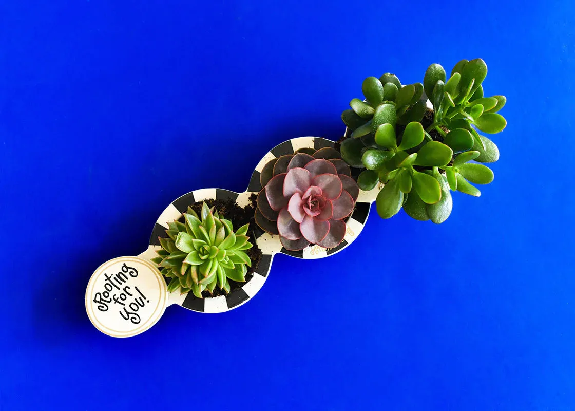 HAPPY EVERYTHING MINI BLACK STRIPE TRIO BOWL