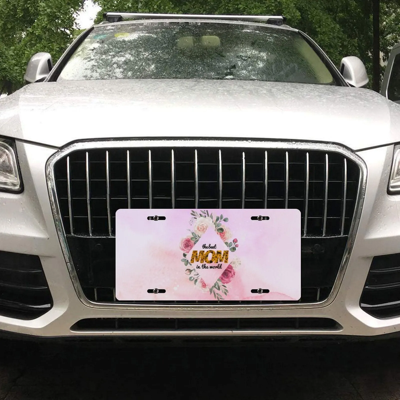 POD Aluminum Car License Plate Personalized Car Tag License Plate The Best Mother in The World